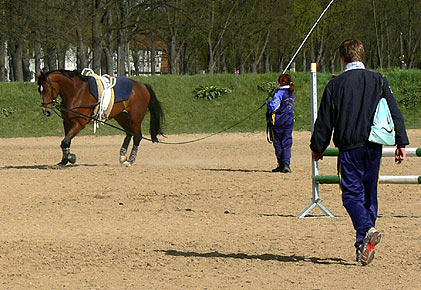 Woopi-Training