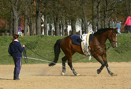 Woopi-Training