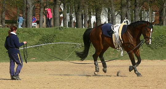 Woopi-Training
