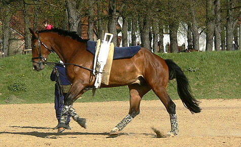 Woopi-Training
