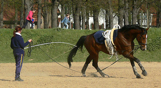 Woopi-Training
