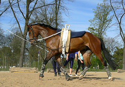 Woopi-Training