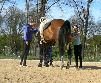 Woopi-Training