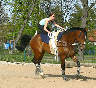 Woopi-Training