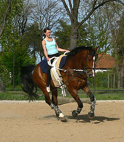 Woopi-Training