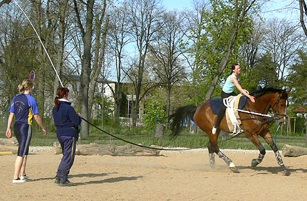 Woopi-Training