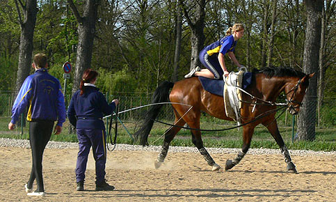 Woopi-Training