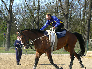 Woopi-Training