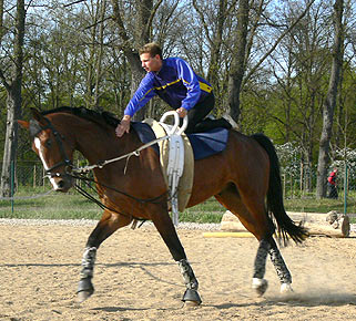 Woopi-Training