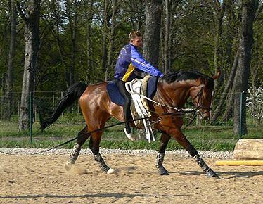 Woopi-Training