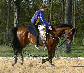 Woopi-Training