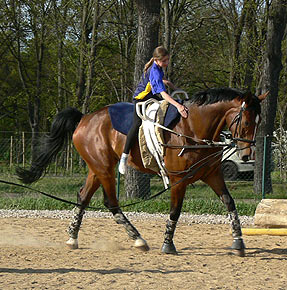 Woopi-Training