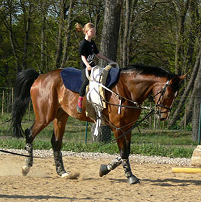 Woopi-Training