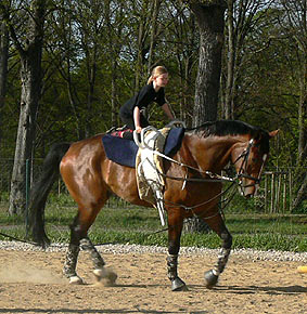 Woopi-Training