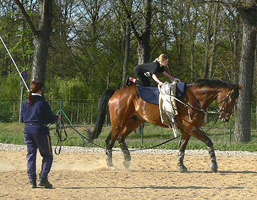 Woopi-Training