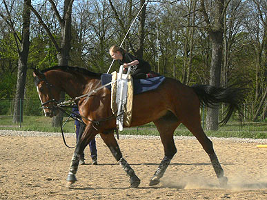 Woopi-Training