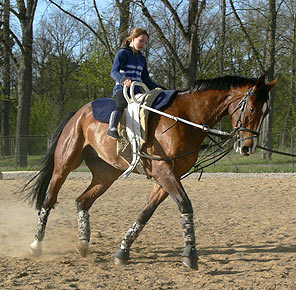 Woopi-Training