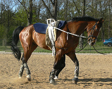 Woopi-Training