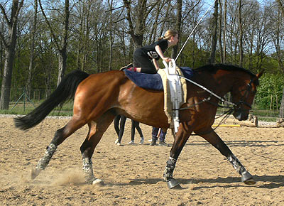 Woopi-Training
