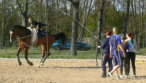 Woopi-Training