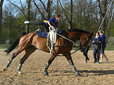 Woopi-Training