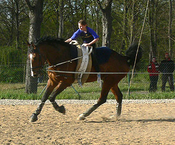 Woopi-Training
