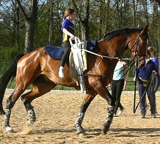 Woopi-Training