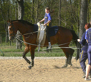 Woopi-Training