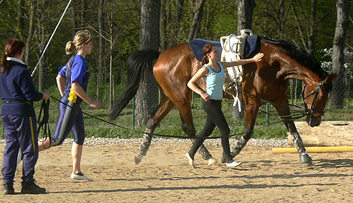 Woopi-Training