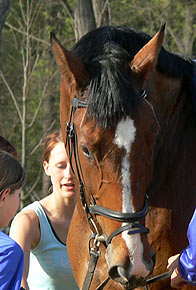 Woopi-Training