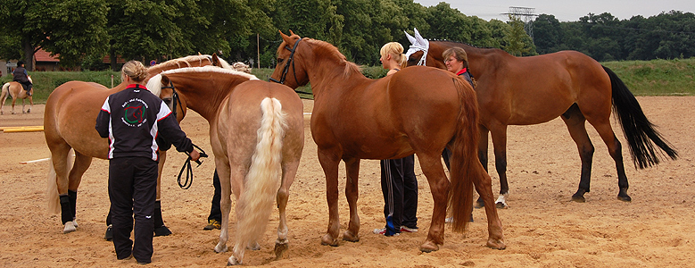 Sommerfest Pacco und Fee