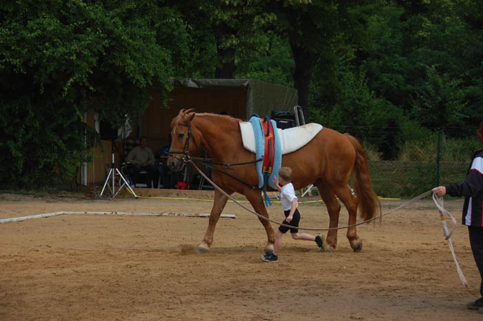 DSC_3398