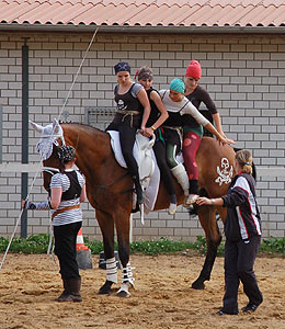 Piraten in der Karibik