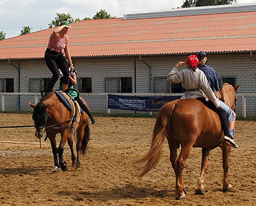 Piraten in der Karibik