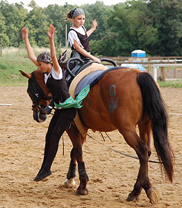 Piraten in der Karibik