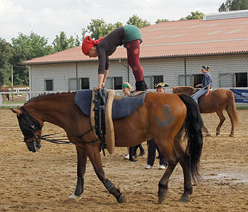 Piraten in der Karibik