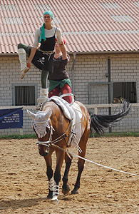 Piraten in der Karibik