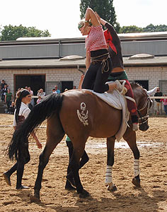 Piraten in der Karibik