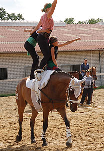 Piraten in der Karibik