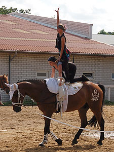 Piraten in der Karibik