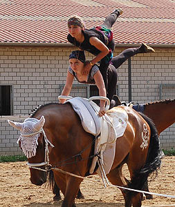 Piraten in der Karibik