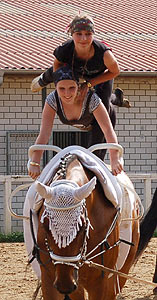 Piraten in der Karibik