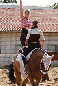Piraten in der Karibik