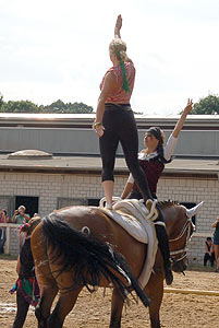 Piraten in der Karibik