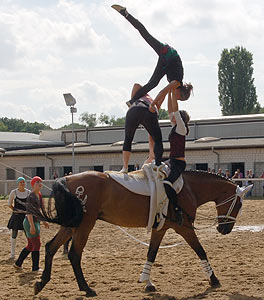 Piraten in der Karibik