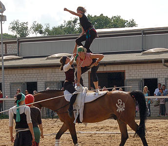 Piraten in der Karibik