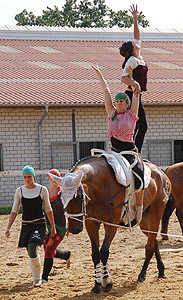 Piraten in der Karibik