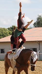 Piraten in der Karibik