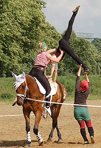 Piraten in der Karibik
