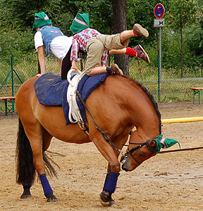 Sieben Zwerge